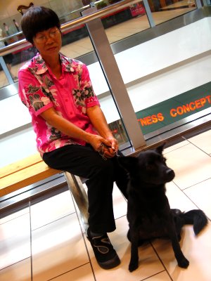 blackdog.jpg