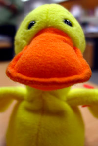 ducky-interview.jpg