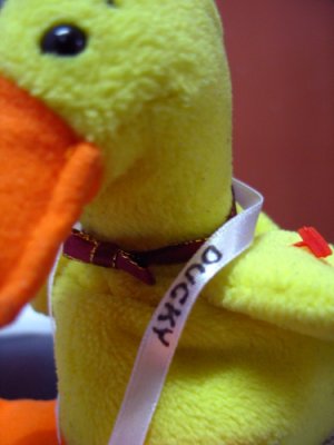 mister_ducky.jpg