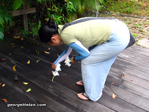 b01.jpg