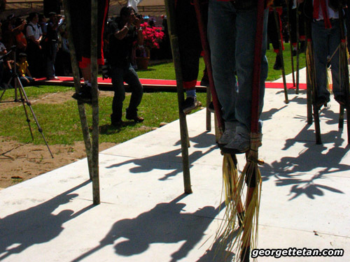 stiltshadows