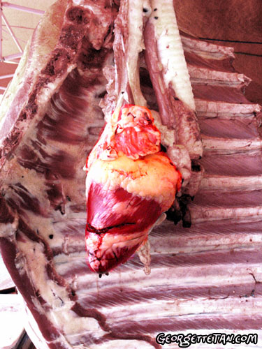 heart